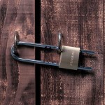Kłódka mosiężna 1950EURD z regulowanym pałąkiem Master Lock