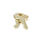 Kłodka mosiężna 170EURD Master Lock 