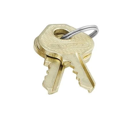 Kłodka mosiężna 120EURD Master Lock