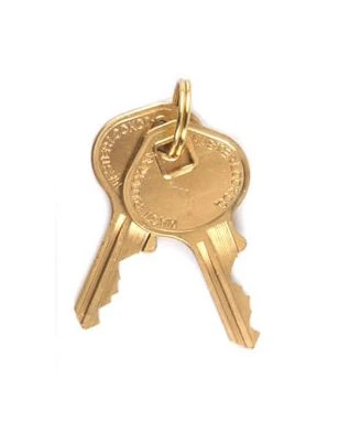 Kłodka mosiężna 150EURDLJ z długim pałąkiem Master Lock